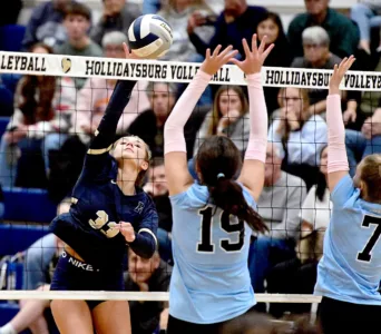 Lady Tigers volleyball remain perfect with win